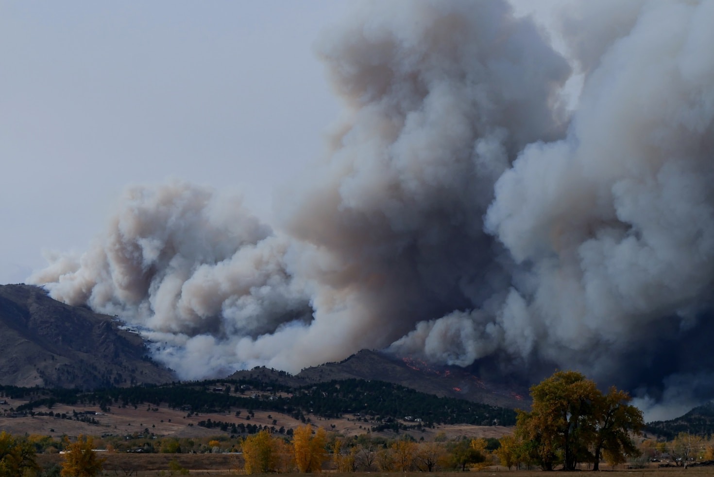 The Role of Urban Planning in Wildfire Risk Reduction